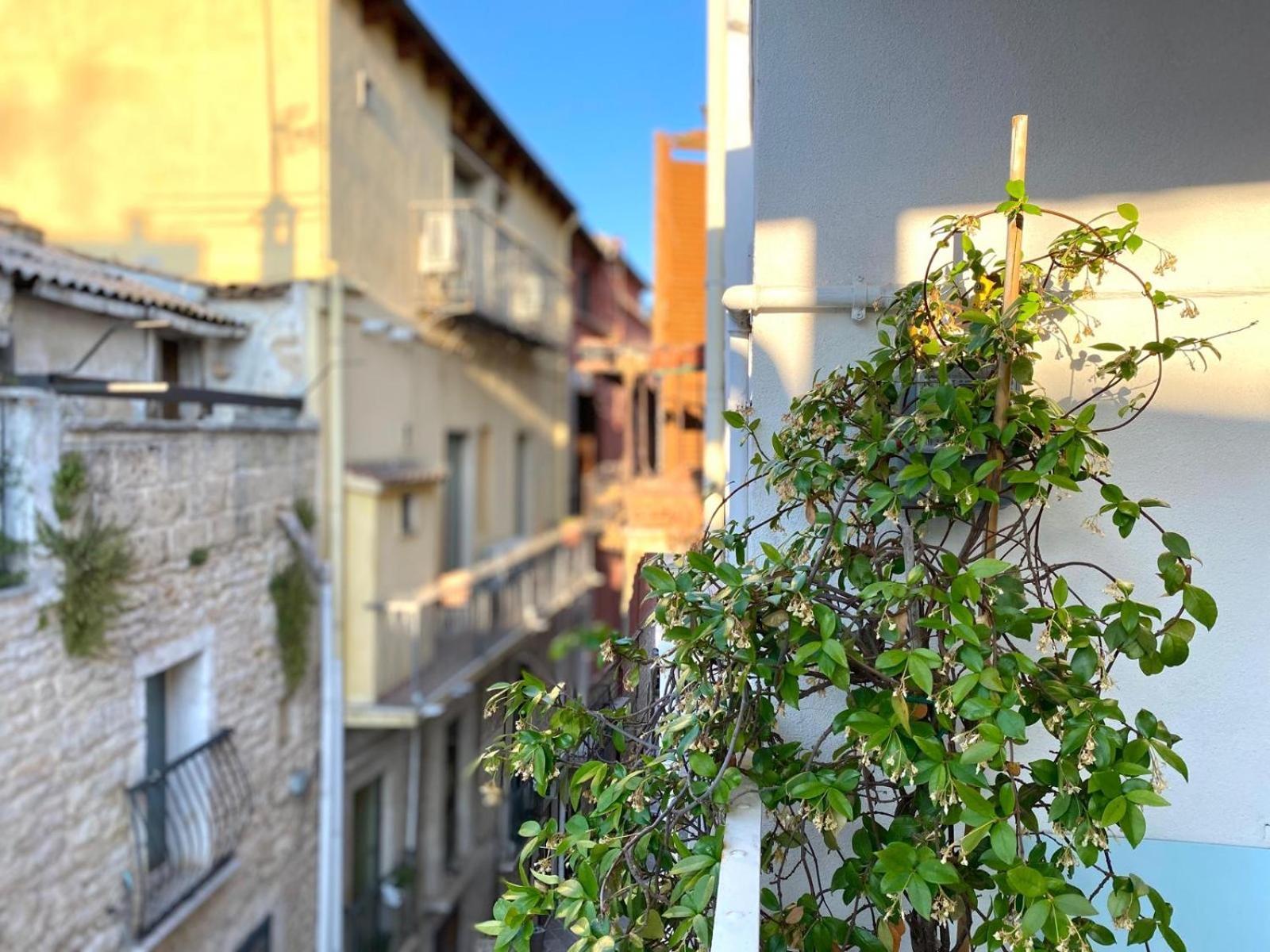 Altrelli Rooms Корато Экстерьер фото
